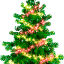 Green Christmas Tree freeware screenshot