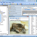 AnySQL Maestro freeware screenshot