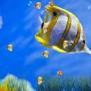 Marine Life Aquarium Animated Wallpaper freeware screenshot