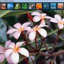 FastPictureViewer freeware screenshot