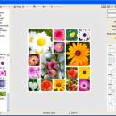 PhotoScape freeware screenshot