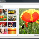 Flickr Mass Downloader freeware screenshot