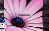 Emerge Desktop freeware screenshot
