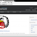 BlackHawk Web Browser freeware screenshot