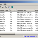 VideoCacheView Portable freeware screenshot