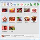 Visual LightBox freeware screenshot