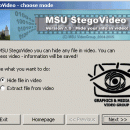 MSU StegoVideo freeware screenshot