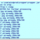 Cropper freeware screenshot