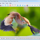 Easy Photo Studio FREE for Windows freeware screenshot