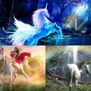 Magic Unicorns Animated Wallpaper freeware screenshot