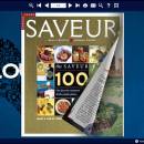PDF to Flash Brochure (Pro) Neat Theme: Genius freeware screenshot