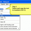 ShaPlus Google Translator freeware screenshot