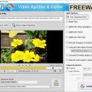 Video Splitter Software For Windows OS freeware screenshot