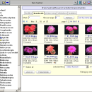 WebFileSys freeware screenshot